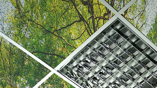 Ceiling Tiles